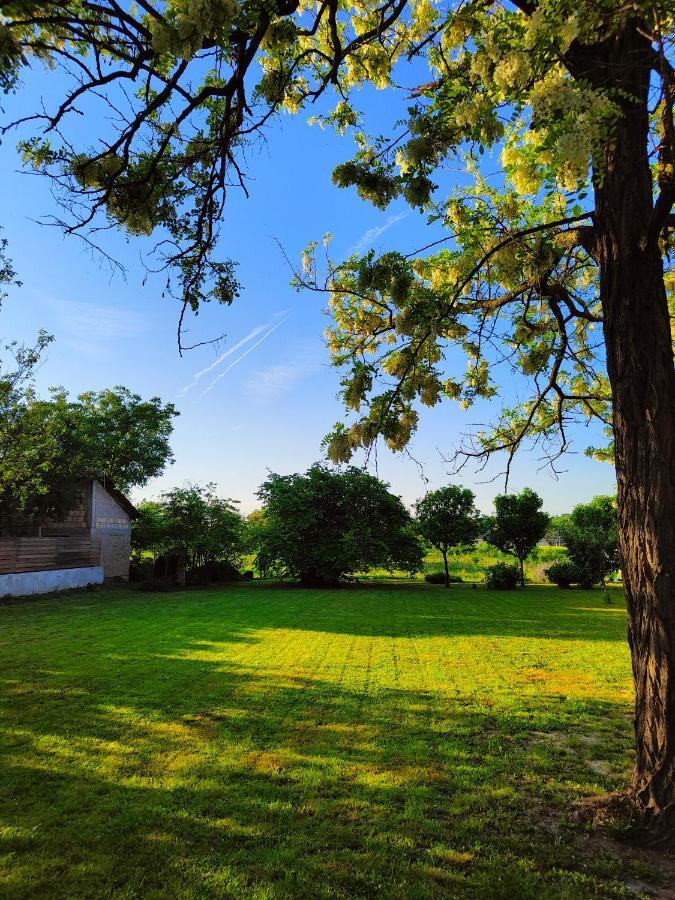 Bed and Breakfast Ethno&Coffee House Tulip Glozan Exterior foto